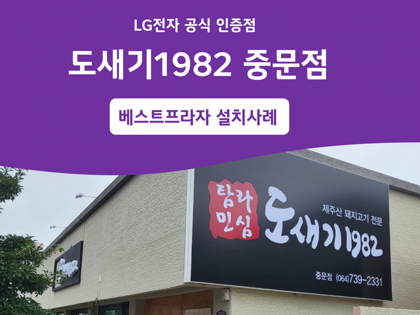 도새기1982 중문점